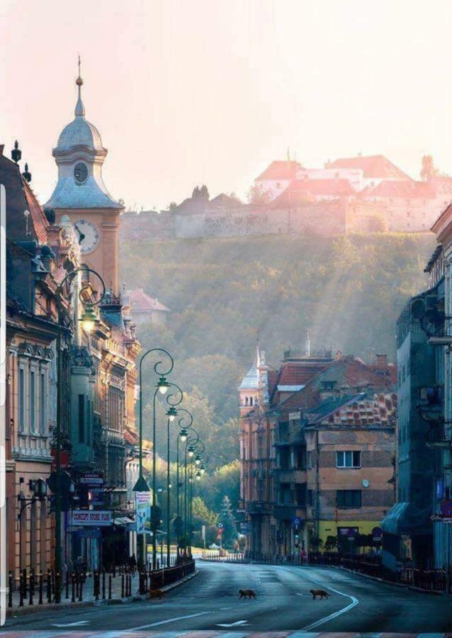 Strada Republicii nr 26 Apartamento Braşov Exterior foto